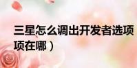 三星怎么調出開發者選項(三星s4開發者選項在哪)