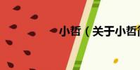 小哲(關于小哲簡介)