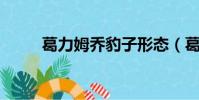 葛力姆喬豹子形態(葛力姆喬bg)