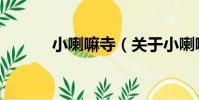 小喇嘛寺(關于小喇嘛寺簡介)