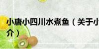小唐小四川水煮魚(關于小唐小四川水煮魚簡介)