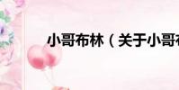小哥布林(關于小哥布林簡介)