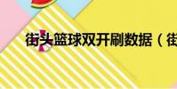 街頭籃球雙開刷數據(街頭籃球雙開)