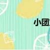 小團寶（關于小團寶簡介）
