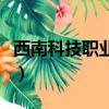 西南科技職業大學在哪兒（西南科技職業學院）