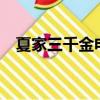 夏家三千金電視劇全集免費觀看（xiajia）