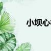 小壩心村（關于小壩心村簡介）