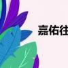 嘉佑往事txt靡寶（嘉佑往事）