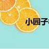 小園子村（關于小園子村簡介）