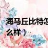 海馬丘比特怎么樣質量好不好（海馬丘比特怎么樣）