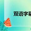 雙語字幕播放器（雙字幕播放器）