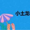 小土龍村（關于小土龍村簡介）