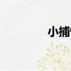 小捕快（關于小捕快簡介）