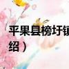 平果縣榜圩鎮中學（關于平果縣榜圩鎮中學介紹）