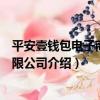 平安壹錢包電子商務有限公司（關于平安壹錢包電子商務有限公司介紹）
