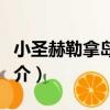 小圣赫勒拿島海燕（關于小圣赫勒拿島海燕簡介）