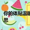 你的體貼溫暖了我的心是什么歌歌詞是什么意思