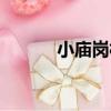小廟崗村（關于小廟崗村簡介）