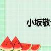 小坂敬介（關于小坂敬介簡介）