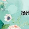 揚州 雞蛋（揚州摜蛋網）