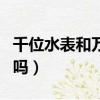 千位水表和萬位水表的區別（水表有萬位數的嗎）