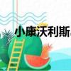 小康沃利斯島（關于小康沃利斯島簡介）
