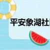 平安象湖社區（關于平安象湖社區介紹）