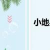 小地星（關于小地星簡介）