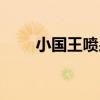 小國王噴泉（關于小國王噴泉簡介）