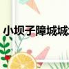 小壩子障城城址（關于小壩子障城城址簡介）