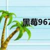 黑莓9670論壇（黑莓9530論壇）