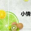 小情劫（關于小情劫簡介）