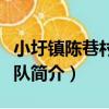 小圩鎮陳巷村志愿隊（關于小圩鎮陳巷村志愿隊簡介）