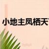 小地主鳳棲天下（關于小地主鳳棲天下簡介）