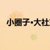 小圈子·大社交（關于小圈子·大社交簡介）