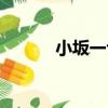 小坂一也（關于小坂一也簡介）