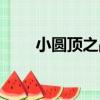 小圓頂之戰（關于小圓頂之戰簡介）