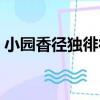 小園香徑獨徘徊（關于小園香徑獨徘徊簡介）