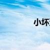 小壞蛋（關于小壞蛋簡介）