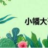 小幡大哥（關于小幡大哥簡介）