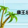 康王總用好嗎（康王怎么樣）