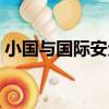 小國與國際安全（關于小國與國際安全簡介）