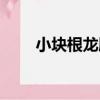 小塊根龍膽（關于小塊根龍膽簡介）