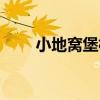 小地窩堡村（關于小地窩堡村簡介）