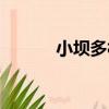 小壩多村（關于小壩多村簡介）