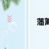 藩籬的意思解釋（藩籬）