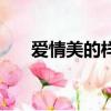 愛情美的樣子張湘怡（愛情美的樣子）