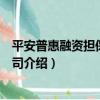 平安普惠融資擔保有限公司（關于平安普惠融資擔保有限公司介紹）