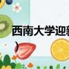 西南大學迎新系統2021（西南大學迎新系統）