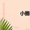 小圈村（關于小圈村簡介）